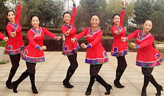春英广场舞大全视频,舞动健康，乐享生活